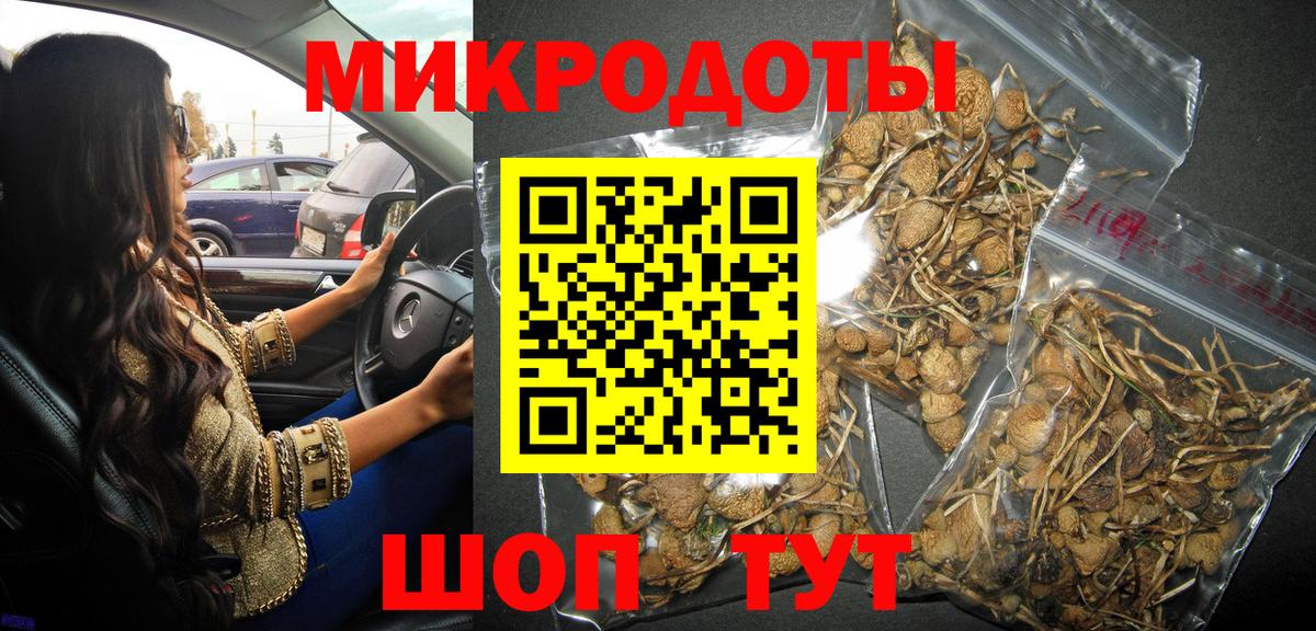 наркошоп  Вход с VPN  Галлюциногенные грибы Psilocybe  Переславль-Залесский  Псилоцибиновые грибы GOLDEN TEACHER 